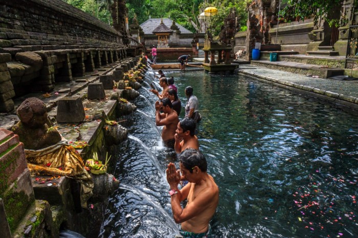 Empul tirta ubud tanah lot tour wandernesia spiritual healing place